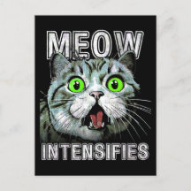 Meow Intensifieras Lunt Scottish Fold Cat