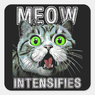 Meow Intensives Scottish Fold Cat Meme Fyrkantigt Klistermärke