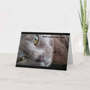 Meow Kattunge-födelsedagskort Kort