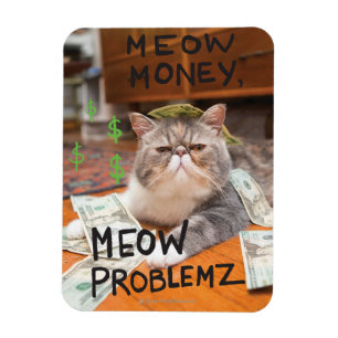 Meow Money, Meow Problems Magnet