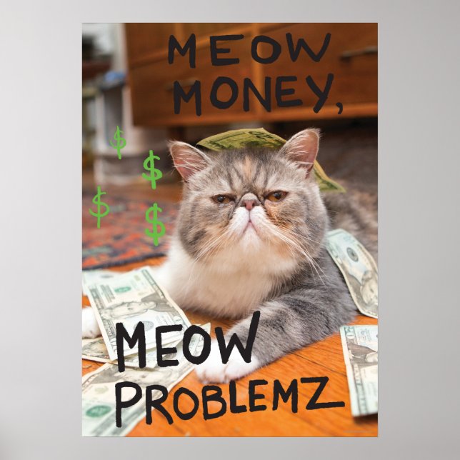 Meow Money, Meow Problemz Poster (Framsidan)