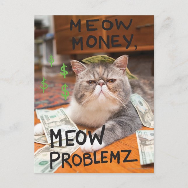 Meow Money, Meow Problemz Vykort (Framsida)
