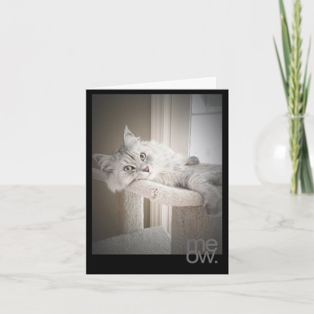 Meow Translated Original Birthday Card Kort (Framsida)