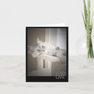 Meow Translated Original Birthday Card Kort