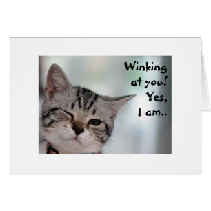 MEOW U LOOK-BRA FÖR VINNING 40=WINK-WINK HÄLSNINGSKORT