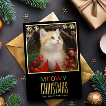 Meowjul Cute Pet Cat Photo & Snöflingor