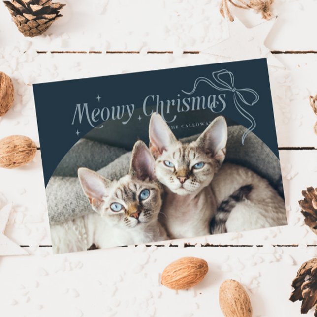Meowjul - foto-blått Helgdag Julkort (Skapare uppladdad)