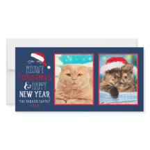 Meowjul Kat 2 Fotokort