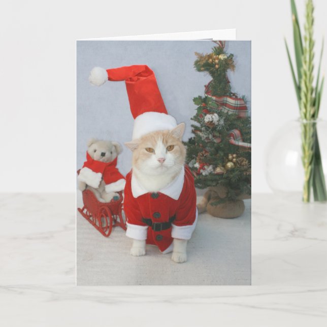 MEOWry jul! Helgkort (Framsida)