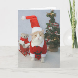 MEOWry jul! Helgkort