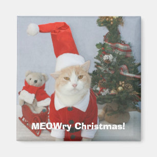 MEOWry jul! Magnet