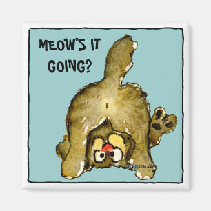 Meows det som går? Gullig kattmagnet Magnet