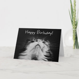 Meowvous Birthday Önskemål Card Kort