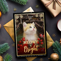 Meowy & Bright Cute Cat Photo & Snöflingor Pet