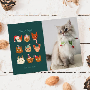 Meowy & Bright Winter Cats Photo Jul Julkort