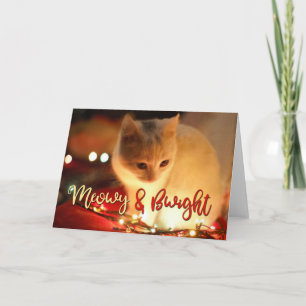 Meowy & Bwight - Lägg till din CAT-FOTO Kort