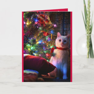 Meowy Catmas hälsningkort Helgkort