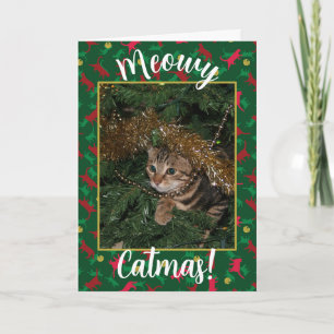 Meowy Catmas - Red Grönt-julklapp Mönster Helgkort