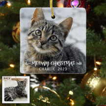 MEOWY CHRISTMAS Cat Namn Photo