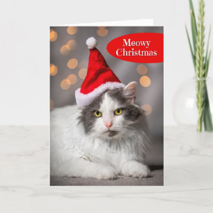 Meowy God jul för vem som helst Cute Cat i Santa Helgkort