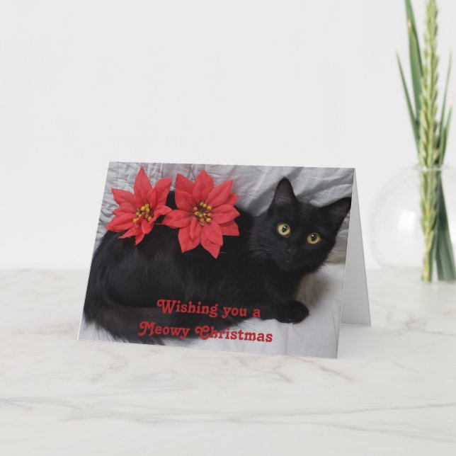 Meowy jul Black Cat Red Poinsettias Photo Kort (Framsida)