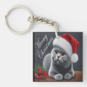 Meowy jul British Shorthair Santa Cat