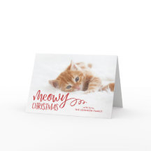 Meowy jul Cat Pet Photo