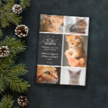 Meowy jul - Cat Photo Collage Meddelande<br><div class="desc">Plocka svart och vitt julkort med Meowy-jul skrivet i vitt,  handskrivet typsnitt,  dekorerat med öron och whisky. Lägg till fem foton av katten/kattarna tillsammans med namn och året.</div>