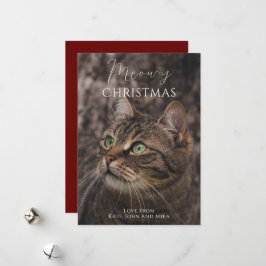 Meowy jul Cat Photo Julkort