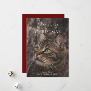 Meowy jul Cat Photo Julkort