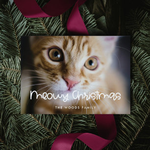 Meowy jul Cute Cat Photo Julkort