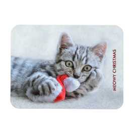 Meowy jul Cute Grått Tabby katt Magnet