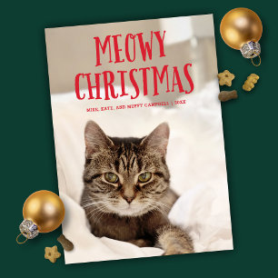 Meowy jul Cute Kattunge Helgdag Photo Julkort