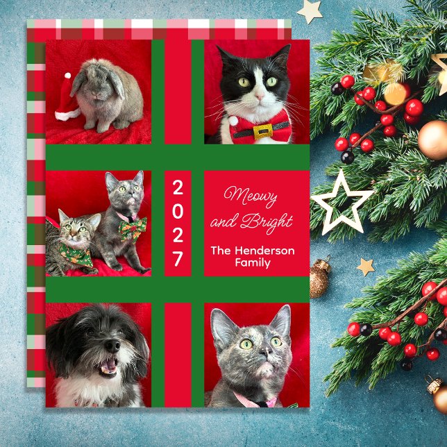 Meowy jul flera fem kattfoto julkort (Skapare uppladdad)