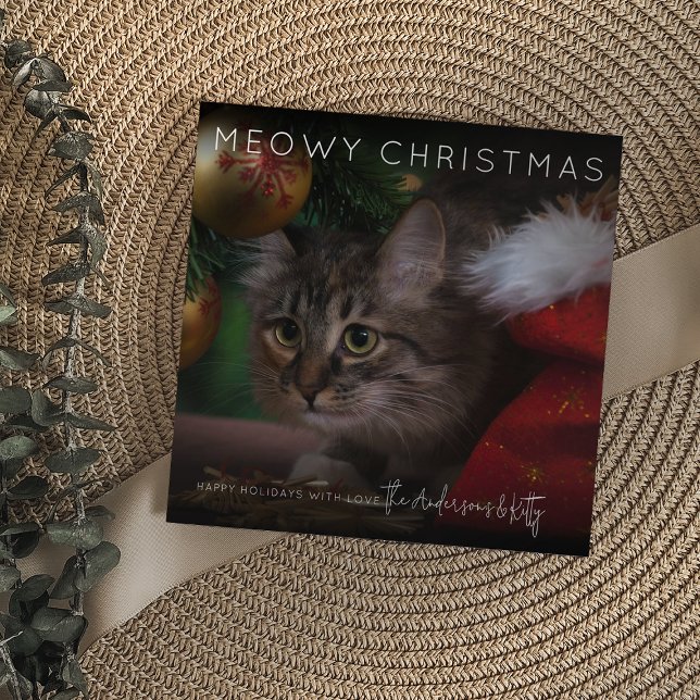 Meowy jul | Fotojul Julkort (Skapare uppladdad)