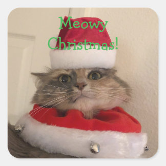 Meowy jul fyrkantigt klistermärke