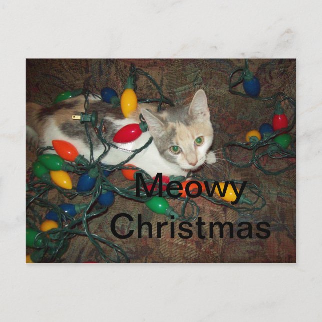 Meowy jul helg vykort (Framsida)