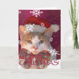 Meowy jul! helgkort