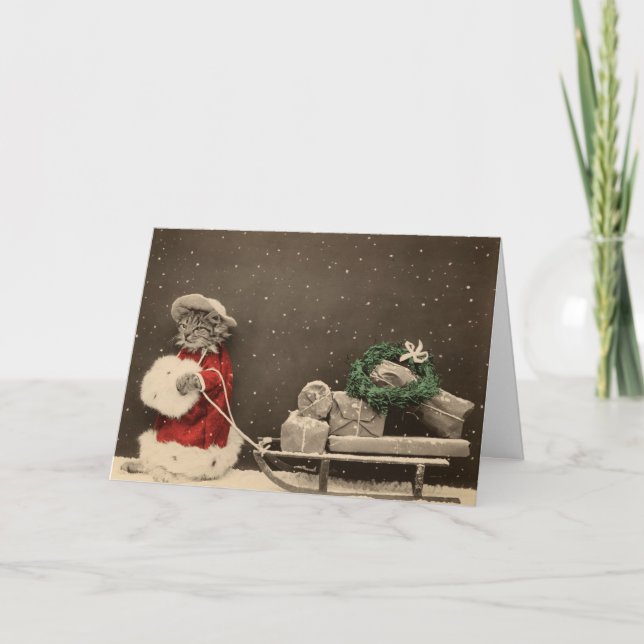 Meowy jul helgkort (Framsida)