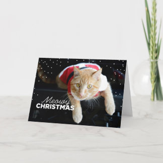 Meowy jul helgkort