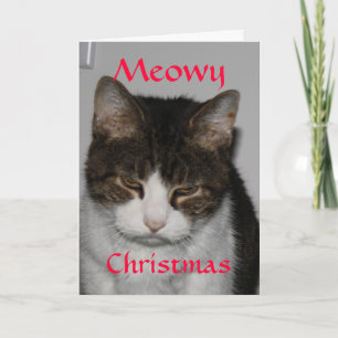 Meowy jul - katten Julhälsningar kortet Helgkort