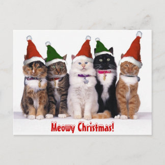 "Meowy jul!", Katter Helg Vykort