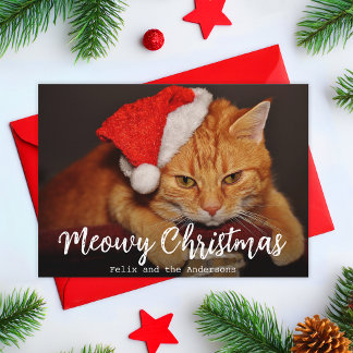 Meowy jul kattfoto katt med röd tomteluva julkort