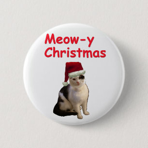 Meowy jul knapp