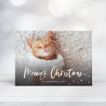 Meowy jul Snö Cat | Foto på sällskapsdjur Julkort<br><div class="desc">Fira julhelgen med det här chic-helgdag med ett modernt skript som säger "Meowy jul" och snöfall.</div>
