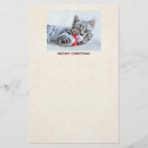 Meowy jul Söt grå marmorerad katt Brevpapper