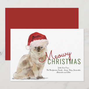 Meowy jul Söt katt jultomte hatt modern skrift Julkort