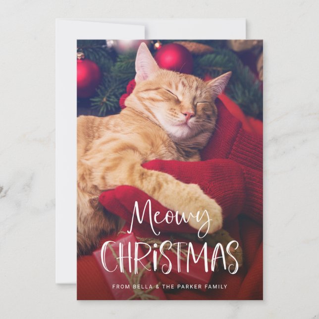 Meowy jul | Sött rolig kattfoto Julkort (Framsida)