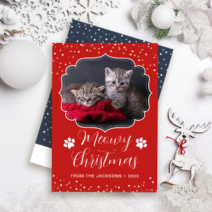 Meowy jul Vit skript Pet Cat Photo Julkort