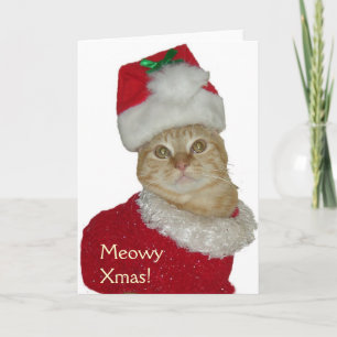 "Meowy Julafton"-hälsningskort Helgkort